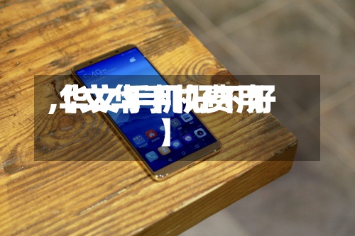 【文华手机费用
,华文手机好不好】-第2张图片