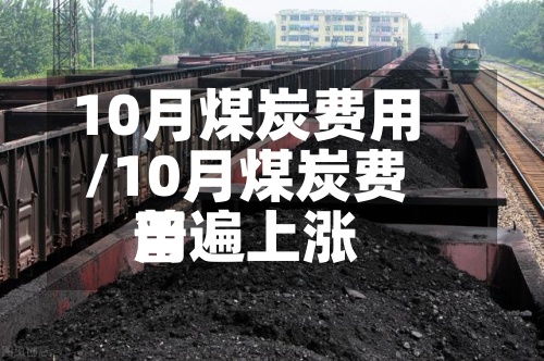 10月煤炭费用/10月煤炭费用普遍上涨