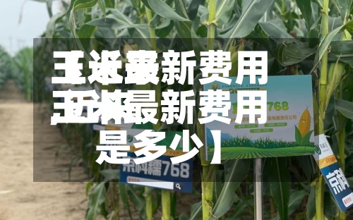 【近来玉米最新费用,近来玉米最新费用是多少】