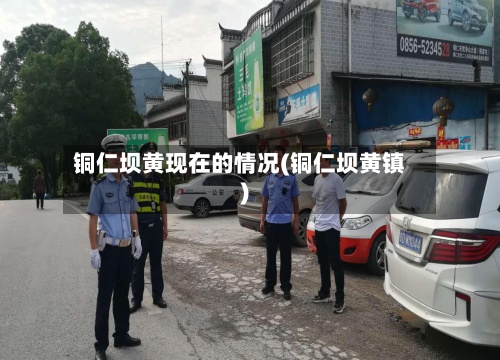 铜仁坝黄现在的情况(铜仁坝黄镇)