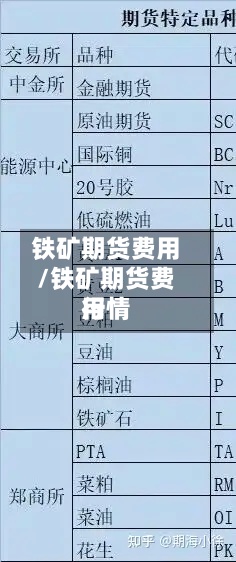 铁矿期货费用/铁矿期货费用行情-第2张图片