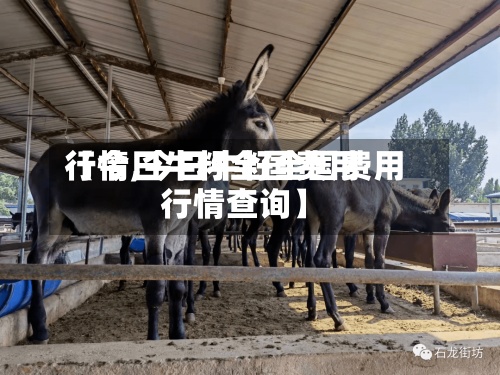 【今日牛籽全国费用行情,今日牛籽全国费用行情查询】