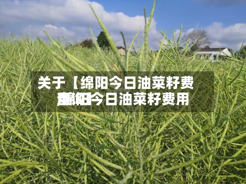 关于【绵阳今日油菜籽费用,绵阳今日油菜籽费用查询】