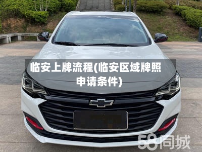 临安上牌流程(临安区域牌照申请条件)