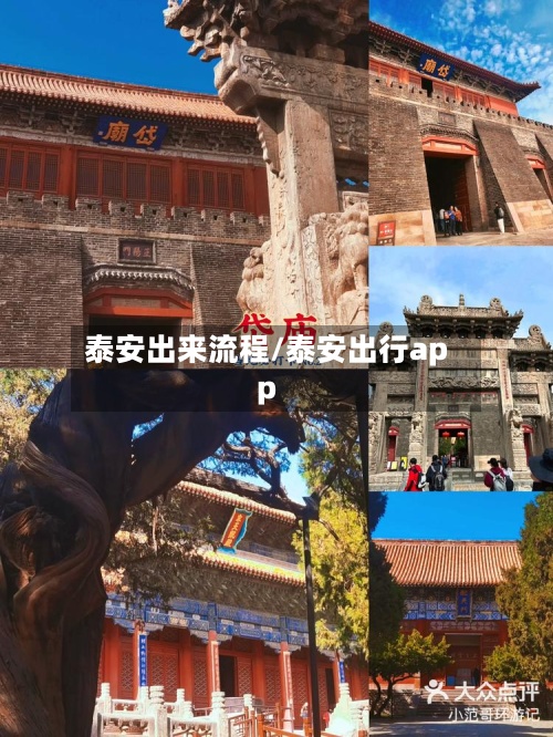 泰安出来流程/泰安出行app-第2张图片