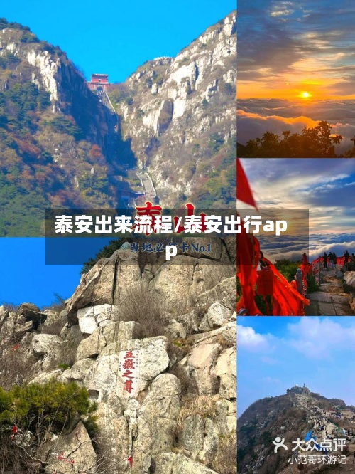 泰安出来流程/泰安出行app-第3张图片