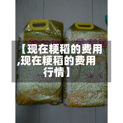 【现在粳稻的费用
,现在粳稻的费用
行情】-第2张图片