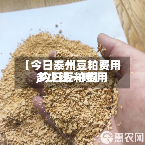 【今日泰州豆粕费用,今日豆粕费用多少钱一吨】-第2张图片
