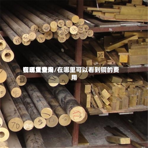 铜现货费用
在哪里查询/在哪里可以看到铜的费用
-第2张图片