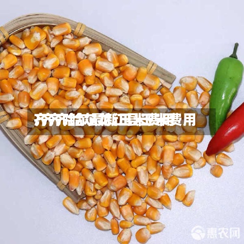 齐齐哈尔最新玉米费用
/齐齐哈尔龙江县玉米费用
-第2张图片