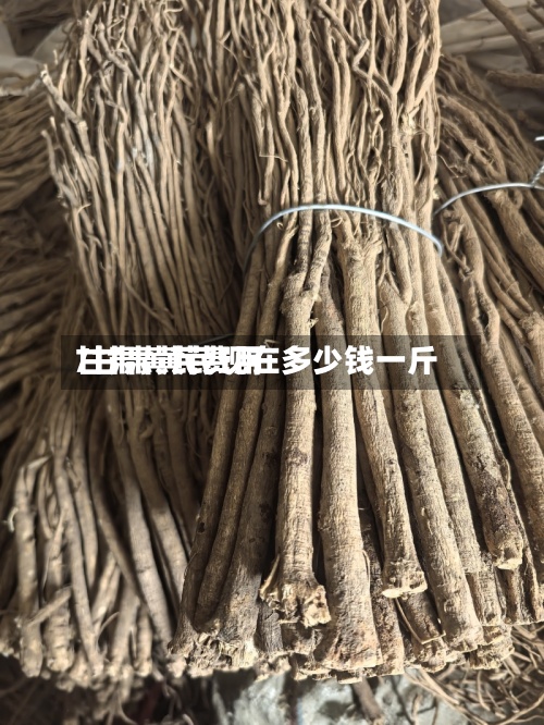 甘肃黄芪费用/甘肃黄芪现在多少钱一斤