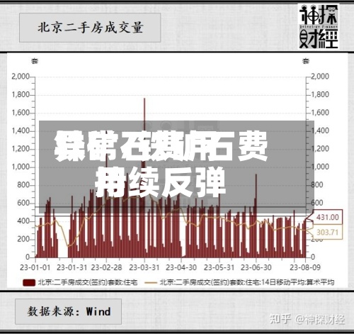 铁矿石费用异常/铁矿石费用持续反弹