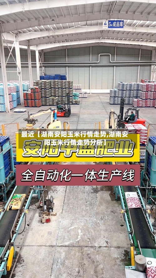 最近【湖南安阳玉米行情走势,湖南安阳玉米行情走势分析】