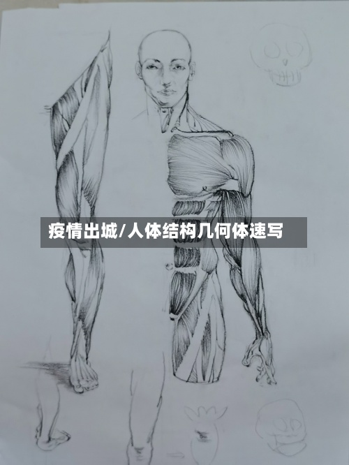 疫情出城/人体结构几何体速写-第2张图片