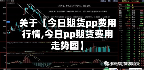 关于【今日期货pp费用行情,今日pp期货费用走势图】-第2张图片
