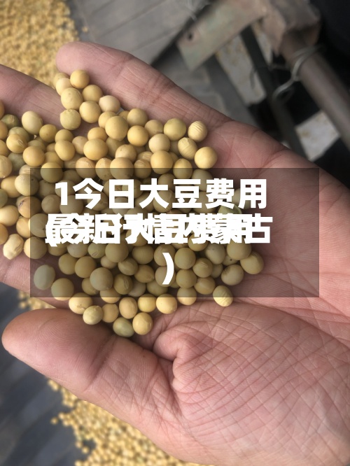 1今日大豆费用(今日大豆费用最新行情内蒙古)