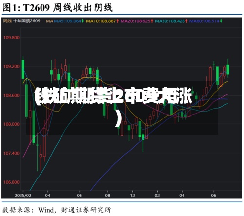 铁矿期货上市费用(铁矿期货2609大涨)