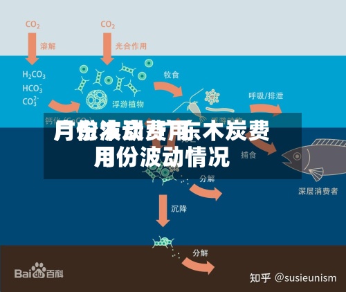 广东木炭费用
月份波动/广东木炭费用
月份波动情况-第2张图片