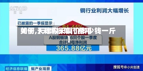 关于【天津铜单门费用如何,天津今天铜价多少钱一斤】