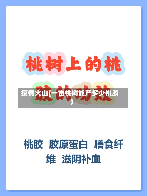 疫情火山(一亩桃树能产多少桃胶)
