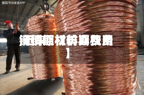 【铜期权仿真费用
,近来
铜价原材料期权费】-第2张图片