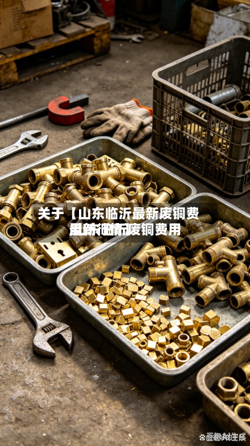关于【山东临沂最新废铜费用,山东临沂废铜费用最新行情】-第2张图片
