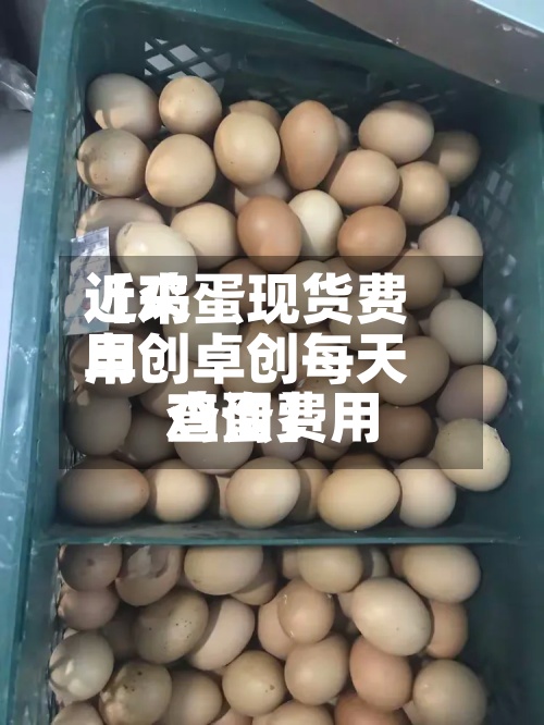 近来
【鸡蛋现货费用
卓创卓创每天
鸡蛋费用
查询】-第3张图片