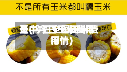 晋中今日玉米费用是(今日全国玉米费用行情)