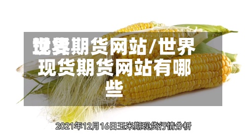 世界
现货期货网站/世界
现货期货网站有哪些-第3张图片
