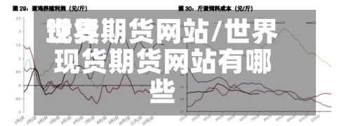 世界现货期货网站/世界现货期货网站有哪些