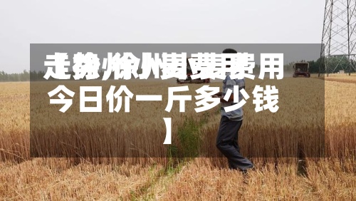 【徐州小麦费用走势,徐州小麦费用今日价一斤多少钱】