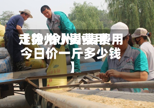 【徐州小麦费用
走势,徐州小麦费用
今日价一斤多少钱】-第3张图片