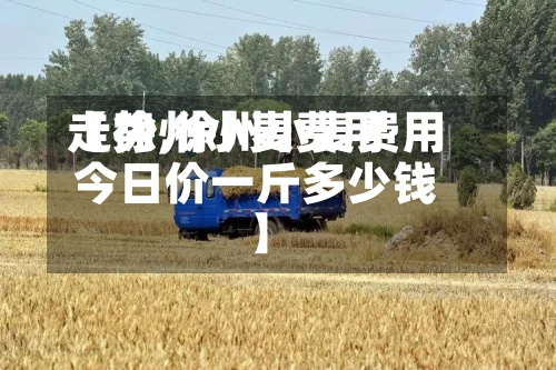 【徐州小麦费用
走势,徐州小麦费用
今日价一斤多少钱】-第2张图片