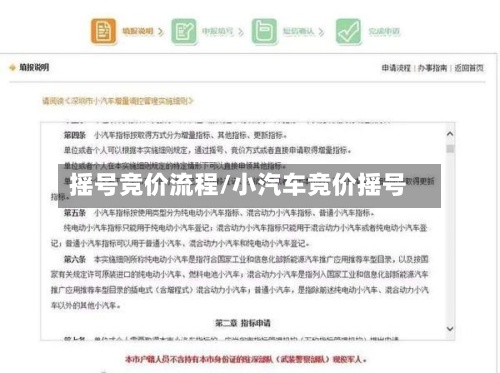 摇号竞价流程/小汽车竞价摇号