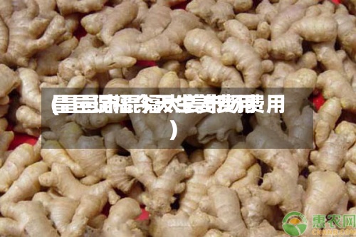 昌邑琨福今天生姜费用(昌邑市琨福大姜市场费用)