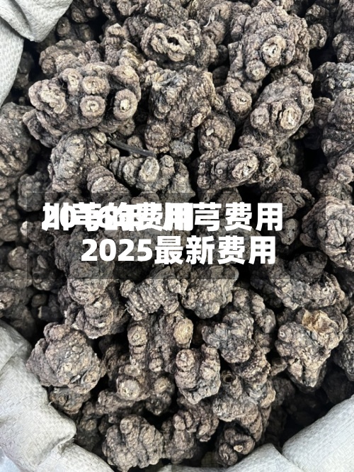 川芎的费用
2016年/川芎费用
2025最新费用
-第2张图片