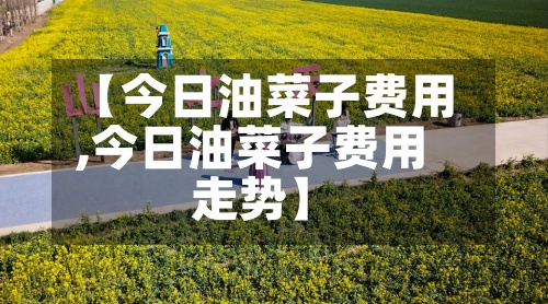 【今日油菜子费用
,今日油菜子费用
走势】-第3张图片