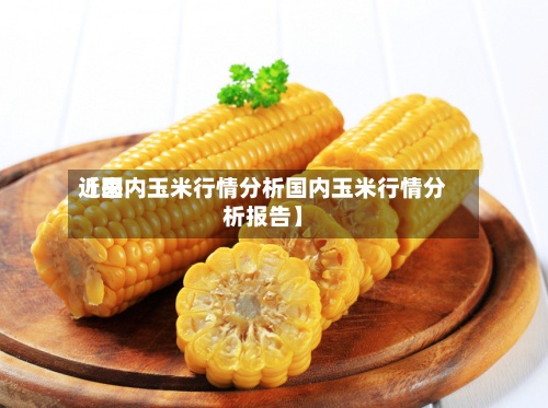 近来【国内玉米行情分析国内玉米行情分析报告】-第3张图片