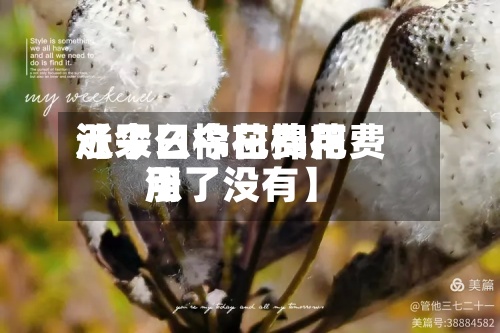 近来
【今日棉花费用
涨了么今日棉花费用
涨了没有】-第2张图片