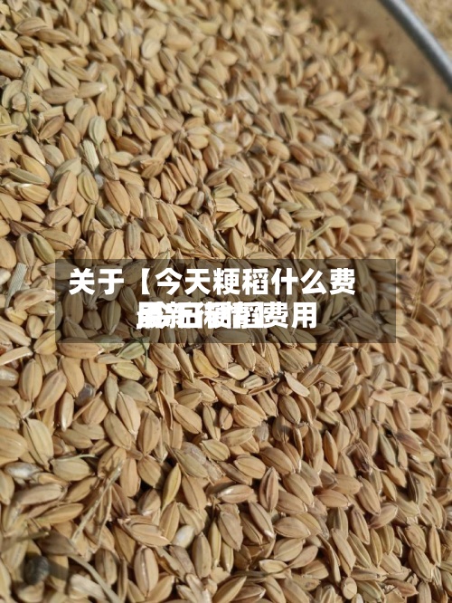 关于【今天粳稻什么费用
,今日粳稻费用
最新行情】-第3张图片