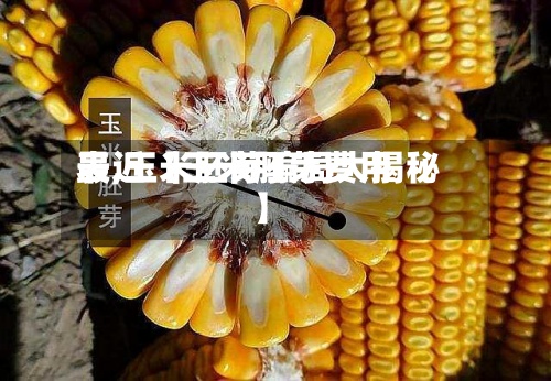 最近【玉米胚芽费用表,玉米胚芽骗局大揭秘】