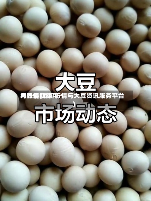 大豆最新费用
与行情(豆价行情与大豆资讯服务平台)-第2张图片