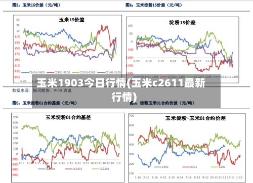玉米1903今日行情(玉米c2611最新行情)-第3张图片