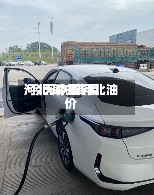 河北海油费用
/今天中国河北油价-第3张图片