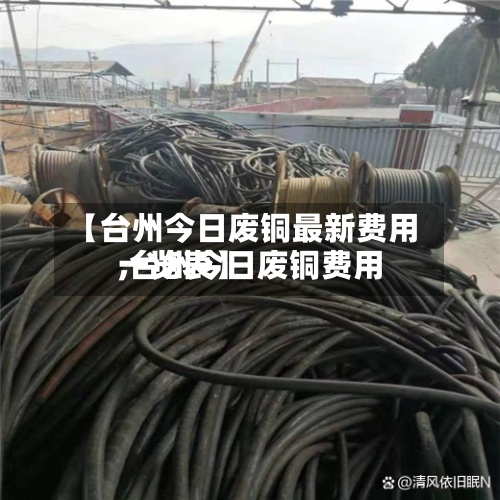 【台州今日废铜最新费用
,台州今日废铜费用
一览表】-第3张图片