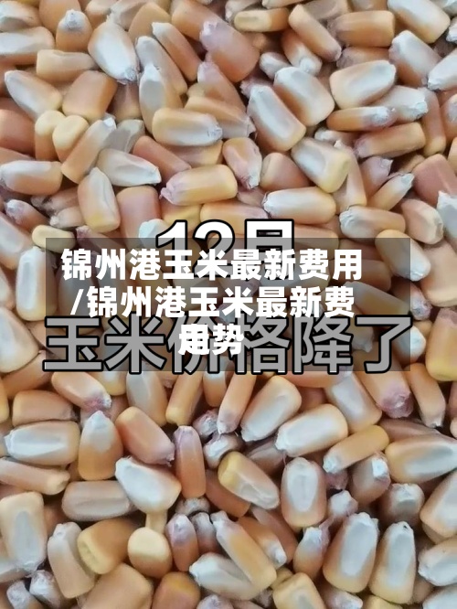 锦州港玉米最新费用
/锦州港玉米最新费用
走势-第2张图片