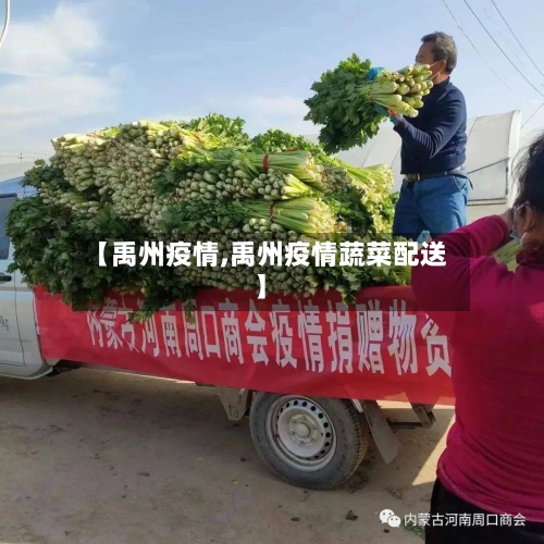 【禹州疫情,禹州疫情蔬菜配送】-第3张图片