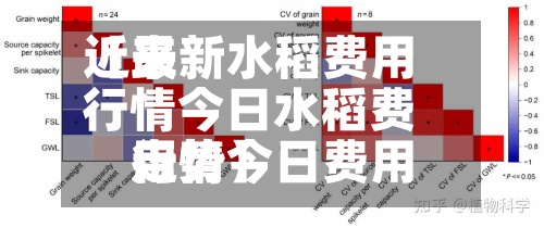 近来【最新水稻费用行情今日水稻费用行情今日费用走势】