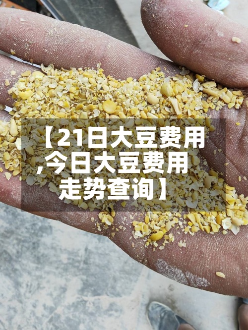 【21日大豆费用,今日大豆费用走势查询】