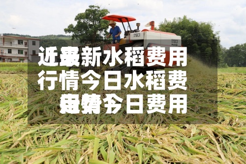近来
【最新水稻费用
行情今日水稻费用
行情今日费用
走势】-第3张图片